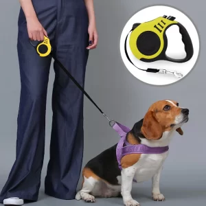 Correa Retráctil para Mascotas – Comodidad y libertad en cada paseo