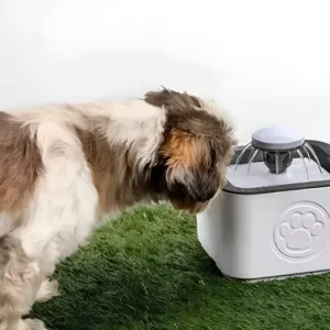Dispensador de Agua para Mascotas
