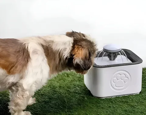 DISPENSADOR DE AGUA