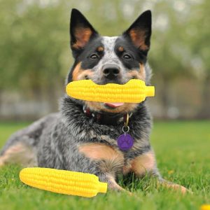 Cepillo de Dientes Mazorca para Perro