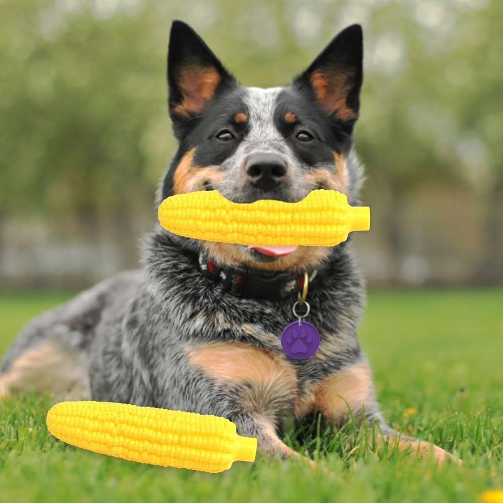 Cepillo de Dientes Mazorca para Perro